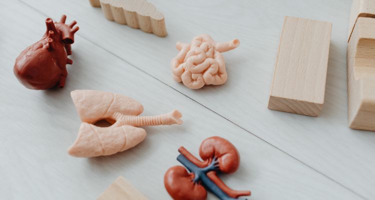 Stage 2 Kidney Disease